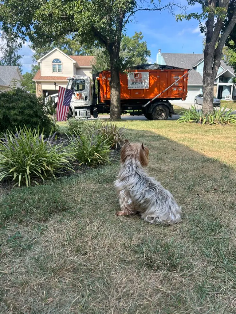 Wrigley watching a Rubble Jockey truck carrying an orange dumpster outside Ken&rsquo;s home on Marblerock Way